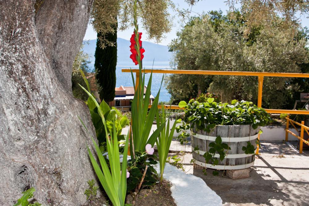Valedina Rooms Νικιάνα Εξωτερικό φωτογραφία